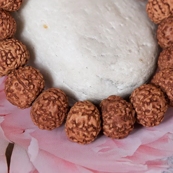 7_Mukhi_Rudraksha_Bracelet
